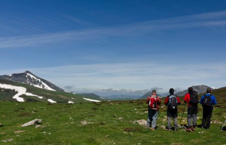 965911_439524089477753_1359604123_o