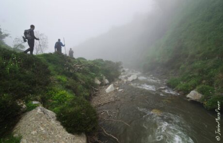 966268_439529849477177_757971030_o