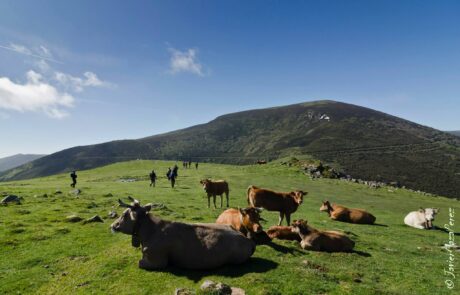 981639_439522552811240_2025698187_o