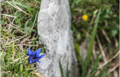 984069_693653577347040_9121320029056934992_n