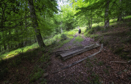 JAV9923-scaled-1-1-1-1-1-1-1-1-1-1-1