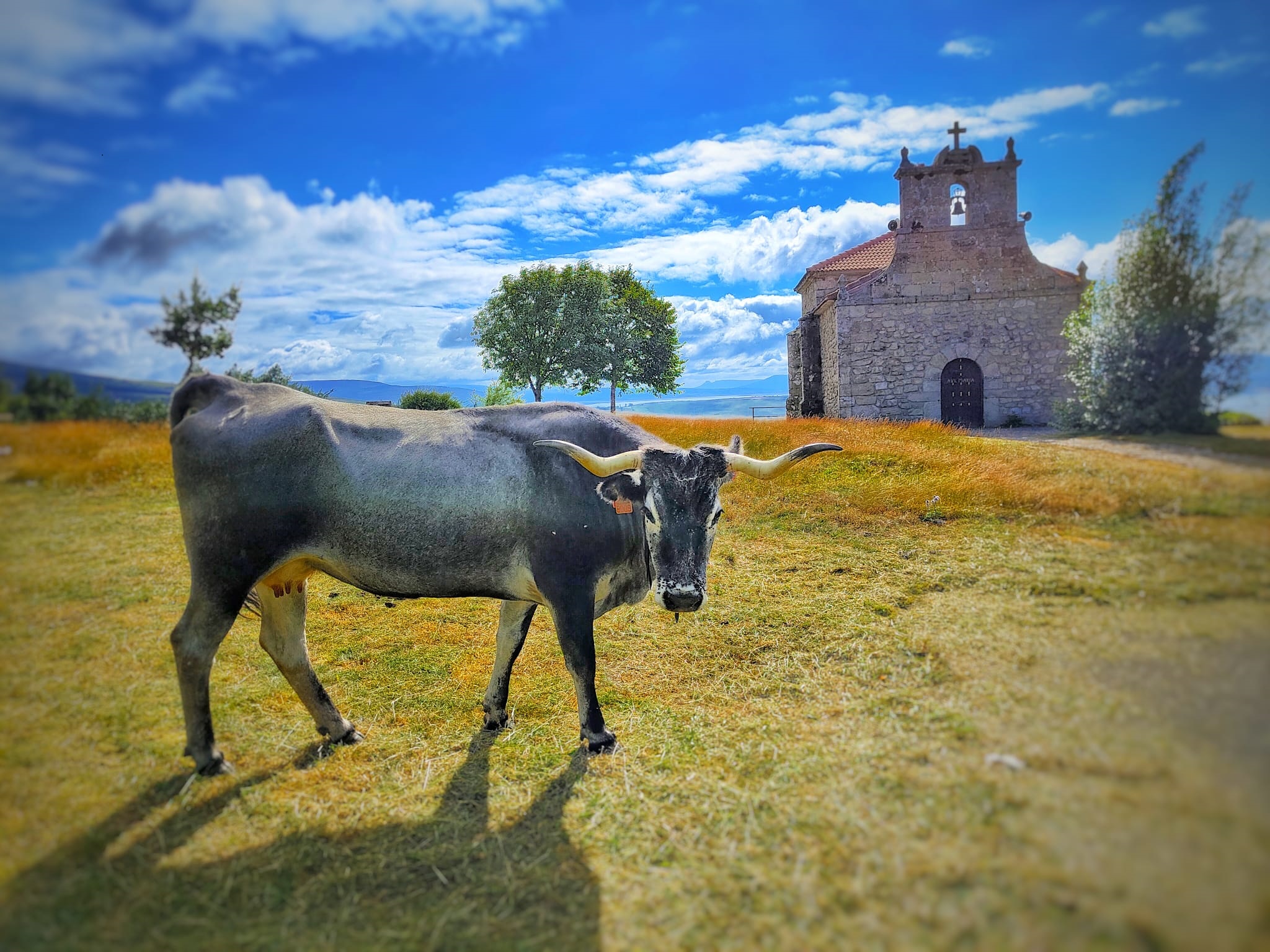 La-Ermita-de-Las-Nieves.-David-Fernandez-Bocos