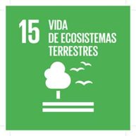 ODS-MINI-15-1-193×193