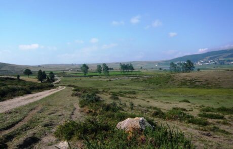 Turbera-de-la-Población-mini