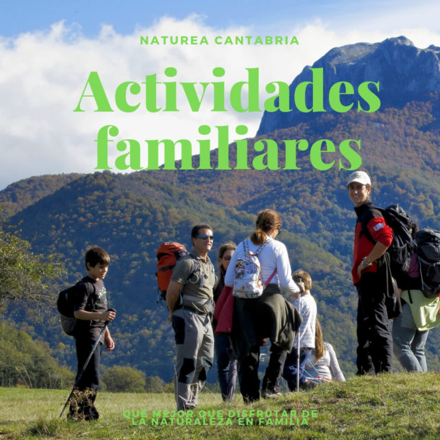 Actividades-familiares-640×640